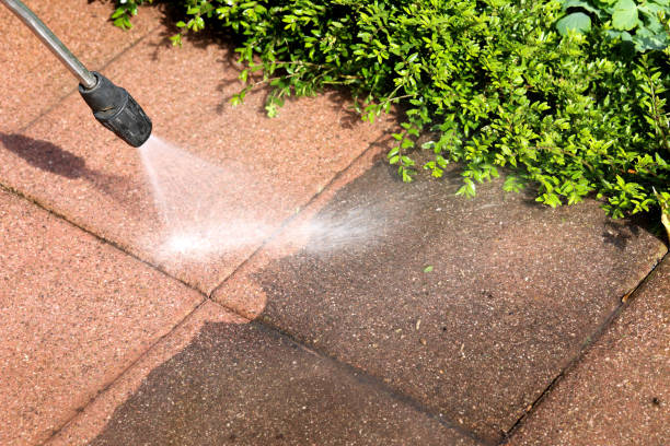 Best Roof Power Washing Services  in Goshen, AR